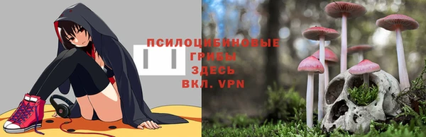 ALPHA PVP Алексеевка