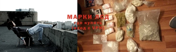 дмт Алзамай